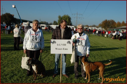 DM FH 2011